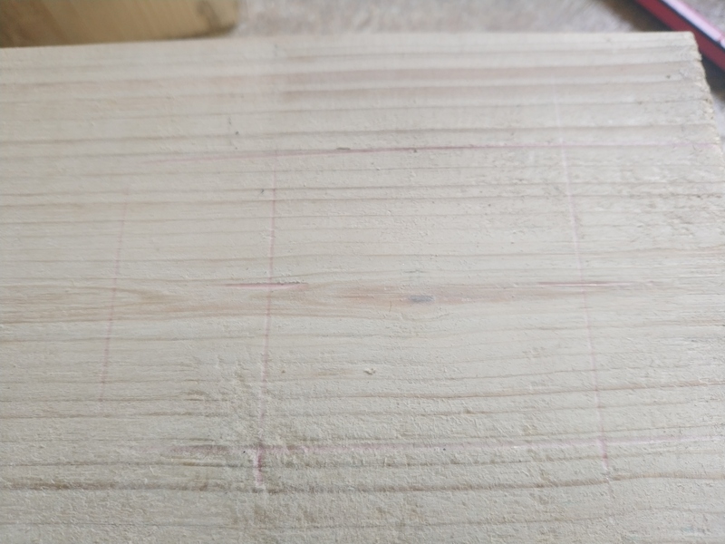 a leg